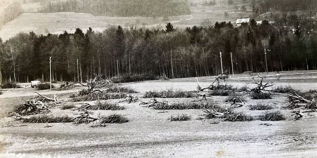 Rodungsaktion in den 1960er-Jahren in Winikon, unterstützt mit Bundesgeldern: Keine schöne Aufgabe für die Baumpfleger.