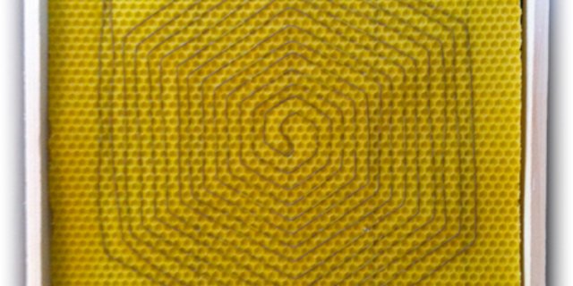 Die Wabe heizt den Bienenstock kurzzeitig auf 41°C, um die Varroa-Milben zu vertreiben. (Bild Klimastifung Schweiz)