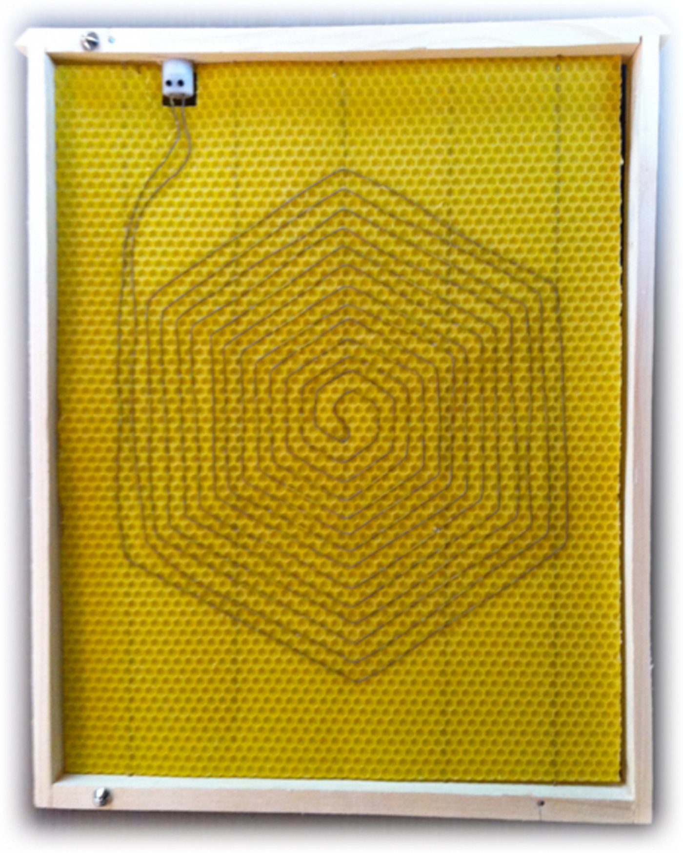 Die Wabe heizt den Bienenstock kurzzeitig auf 41°C, um die Varroa-Milben zu vertreiben. (Bild Klimastifung Schweiz)