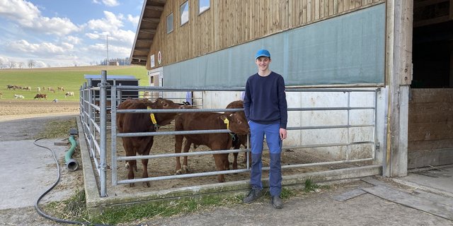 Da er auf einem Betrieb mit Schweinen aufgewachsen ist, musste er den Umgang mit Kühen erst lernen. Mittlerweile hat Joel Läng unter ihnen seine Lieblinge gefunden. (Bilder jsc)