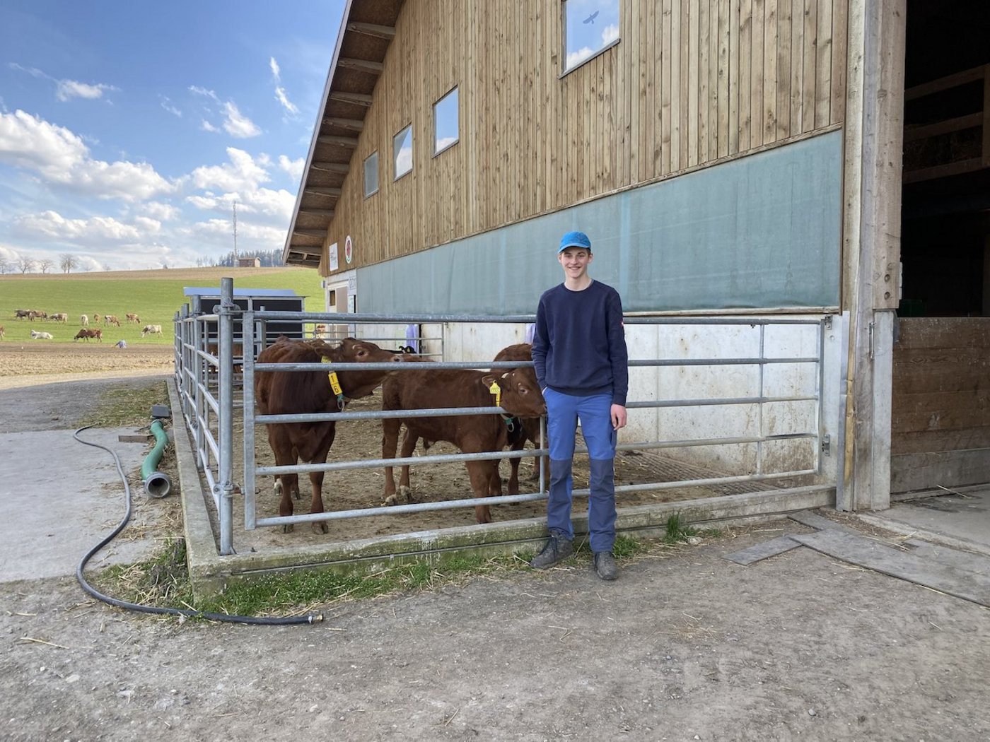 Da er auf einem Betrieb mit Schweinen aufgewachsen ist, musste er den Umgang mit Kühen erst lernen. Mittlerweile hat Joel Läng unter ihnen seine Lieblinge gefunden. (Bilder jsc)