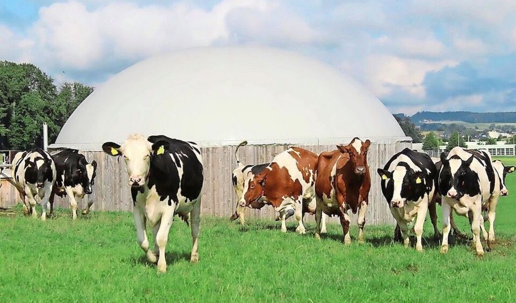 Biogas aus Hofdünger wird wirtschaftlich interessant. Auf dem Markt gibt es Systeme für Kleinanlagen. 