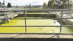 40 000 t Stickstoff verlassen das Ernährungssystem jedes Jahr via Kläranlagen. 