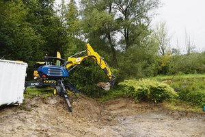Das Bild aus dem Jahr 2017 zeigt die Bekämpfung des Japanknöterichs im Repischtal (rechts im Bild). Dieser vermehrt sich über ein umfangreiches Netz von Wurzeln und Rhizomen. Entsprechend aufwendig ist die Bekämpfung.(Bild Christian Weber)