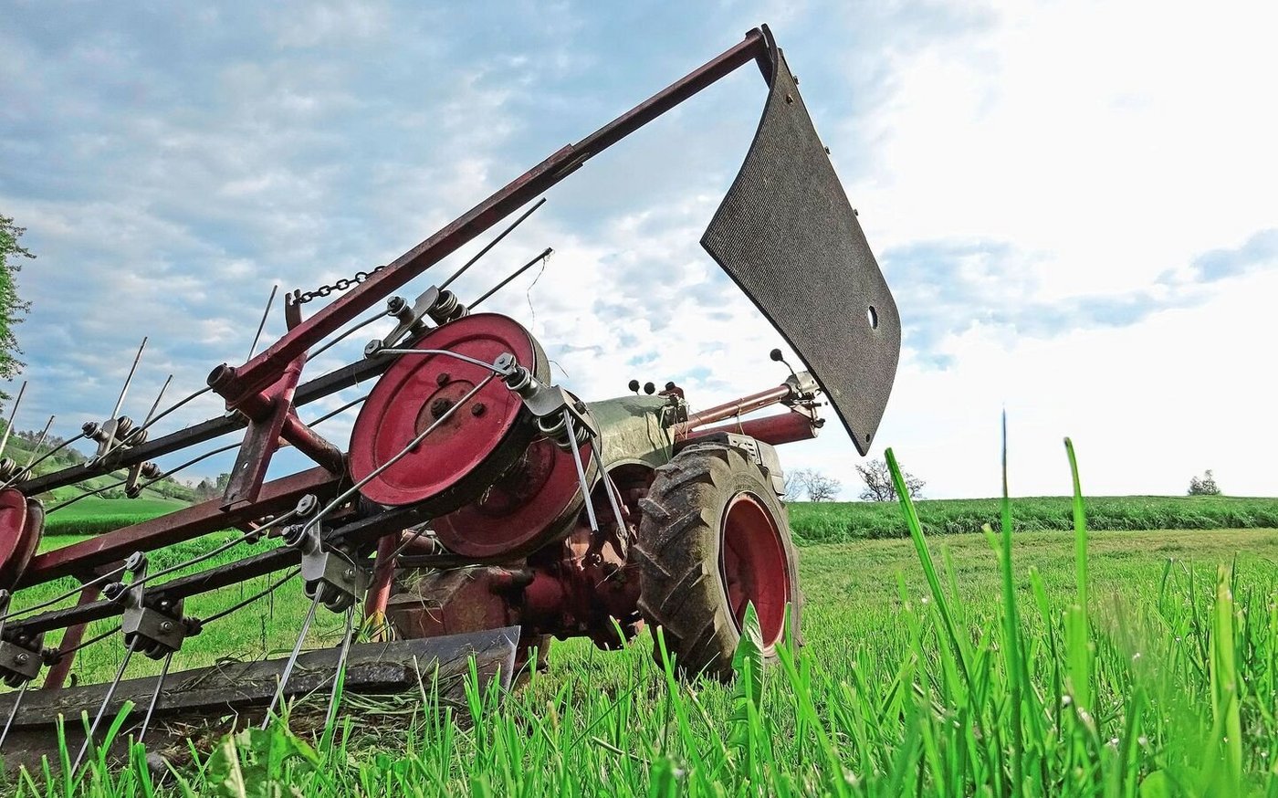Verschiedene Systeme können bei der Milch erfolgreich sein. Die grössten Unterschiede gibt es bei der Position Maschinenkosten.