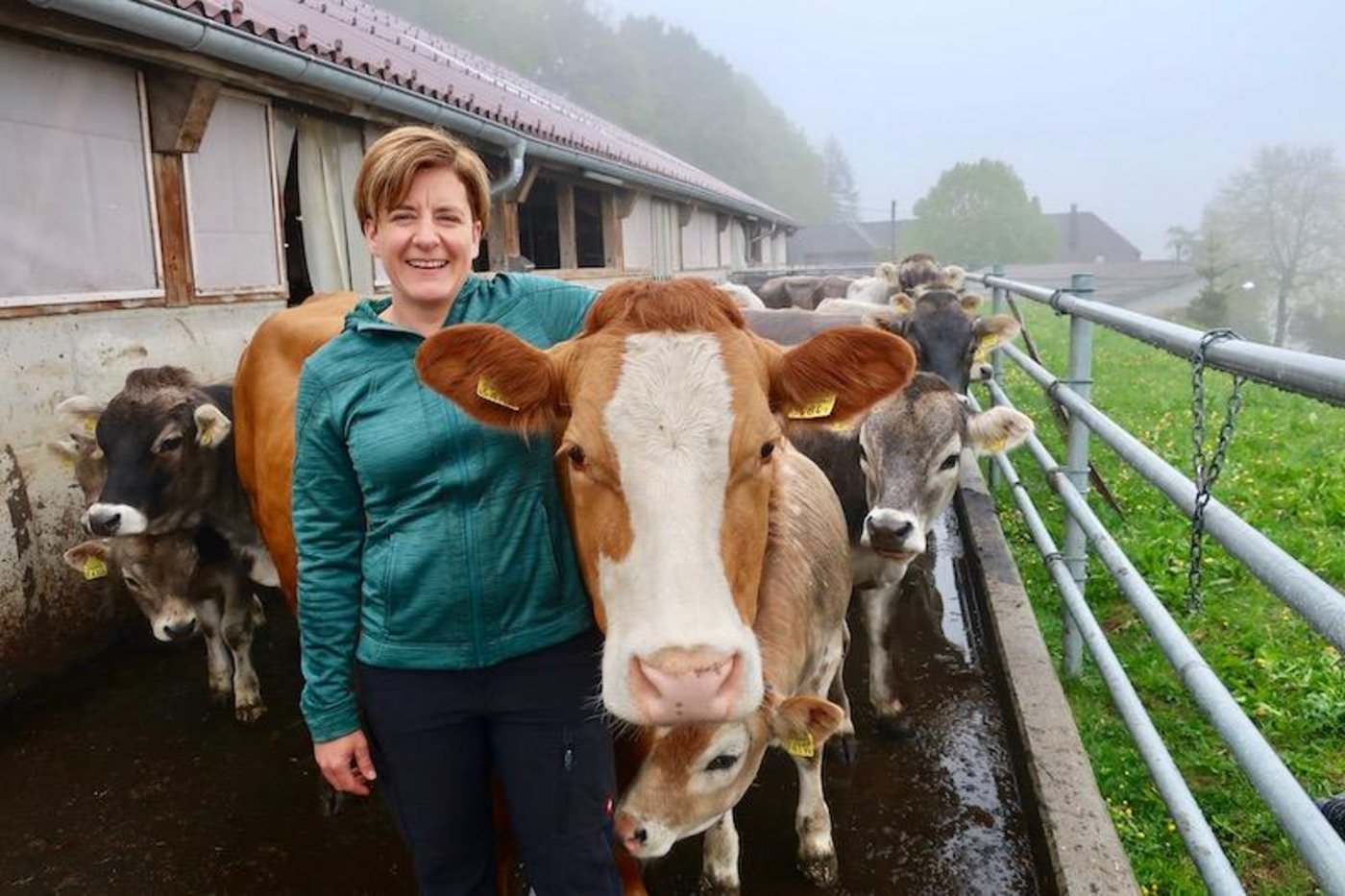 Kathrin Niemetz mit ihrem Liebling «Frau Stucki», einer F1-Limousin-Kuh. Sonst besteht ihre Mutterkuhherde aus Grauvieh, das sie zum grössten Teil selber gezüchtet hat. (Bilder Esther Thalmann)