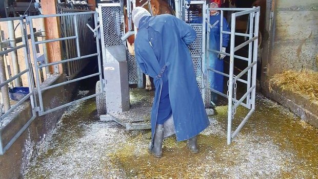 Denise und Elias von Allmen sind ein eingespieltes Duo und erledigen ihren Job speditiv.