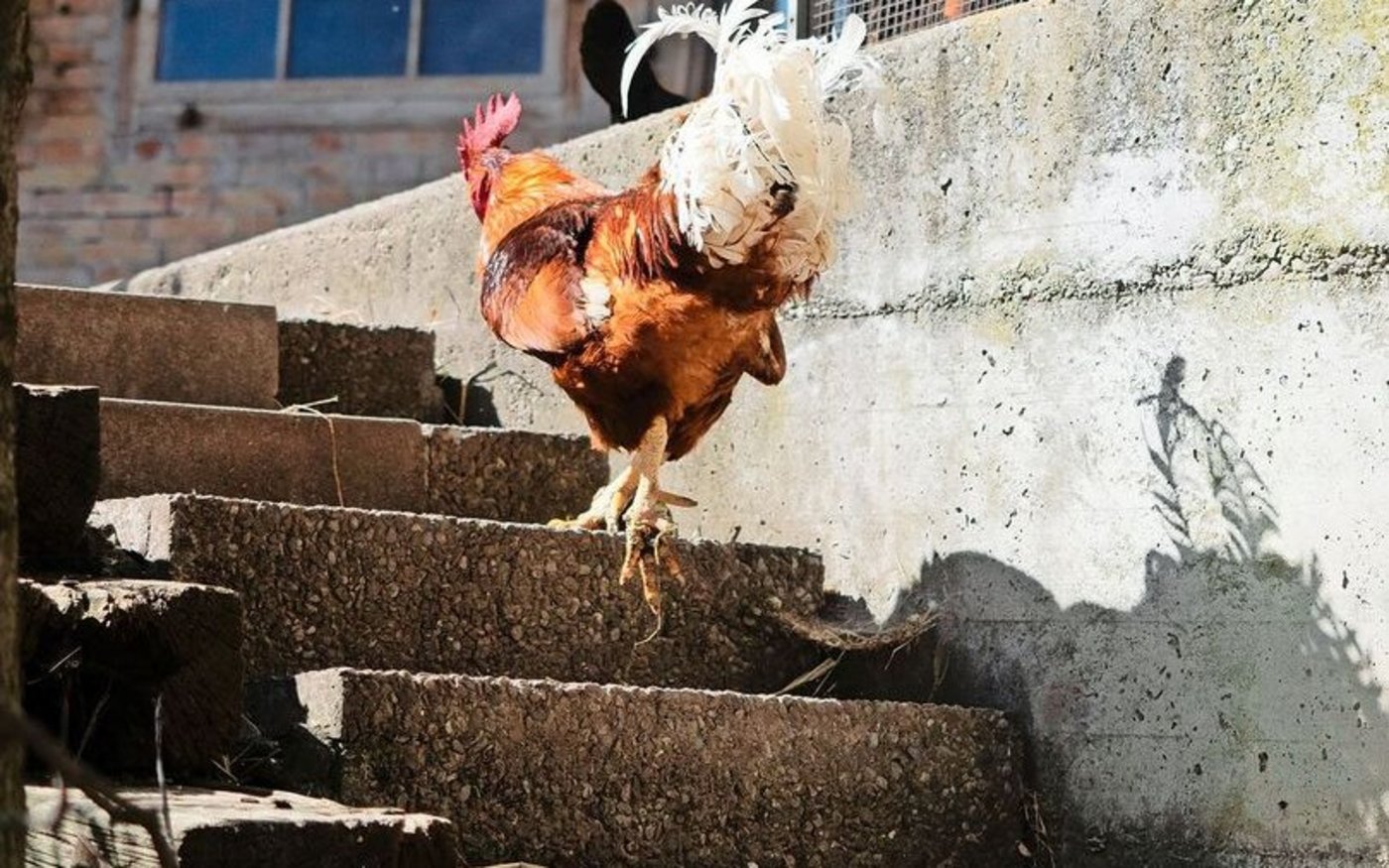 Wenn die alte Generation abtritt, muss die neue nicht unbedingt aus derselben Familie stammen.