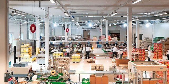 Die F&F SA/AG verarbeitet im luzernischen Schötz jährlich weit über 130 Mio Eier von über 60 Legehennen-Betrieben. Grosse Abnehmer sind Aldi und Lidl.