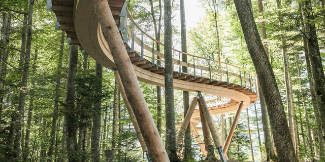 Blick auf den neuen Baumwipfelpfad in luftiger Höhe. (Bild baumwipfelpfad.ch)