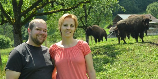 Marcel und Trudi Enz sind die ersten Bisonhalter in der Region. Im Hintergrund die imposanten Tiere auf der Weide auf dem Betrieb Gehri in Giswil. (Bild: Paul Küchler)