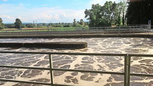 Der von deutschen Fo Der von deutschen Forschenden beschiebene Prozess im Klärschlamm bringt nur geringer Mengen Glyphosat hervor. Es gibt aber noch einige Fragezeichen dazu, was in echten ARA abläuft.