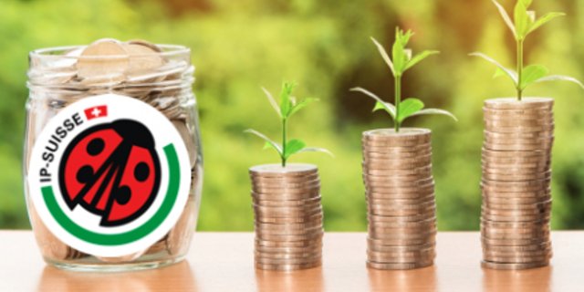 Die Prämie für IP-Suisse-Raps wird auf die Ernten 2020 und 2021 erhöht. (Bild Fotomontage BauZ)