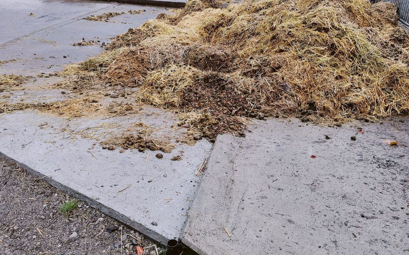 Nachher: So soll es sein. Der Mistplatz hat einen sauberen Abschluss bekommen, nun kann kein Saft mehr vom Platz fliessen. 