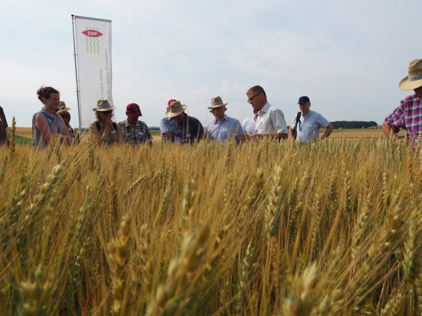 Am offiziellen Jubiläumsanlass von der Delley Samen und Pflanzen AG (DSP) wurden den eingeladenen Gästen die Aktivitäten der Saatgutfirma gezeigt. Karl-Heinz Camp (Dritter von rechts), der Leiter der Sektoren Mais und Getreide, erläuterte das Getreidezuchtprogramm der DSP. (Bild lko) 