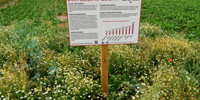 So wird die SBV-Beschilderung einer Nullparzelle aussehen. Sie soll die Bevölkerung über die Dringlichkeit des Pflanzenschutzes aufklären. (Bildmontage SBV)