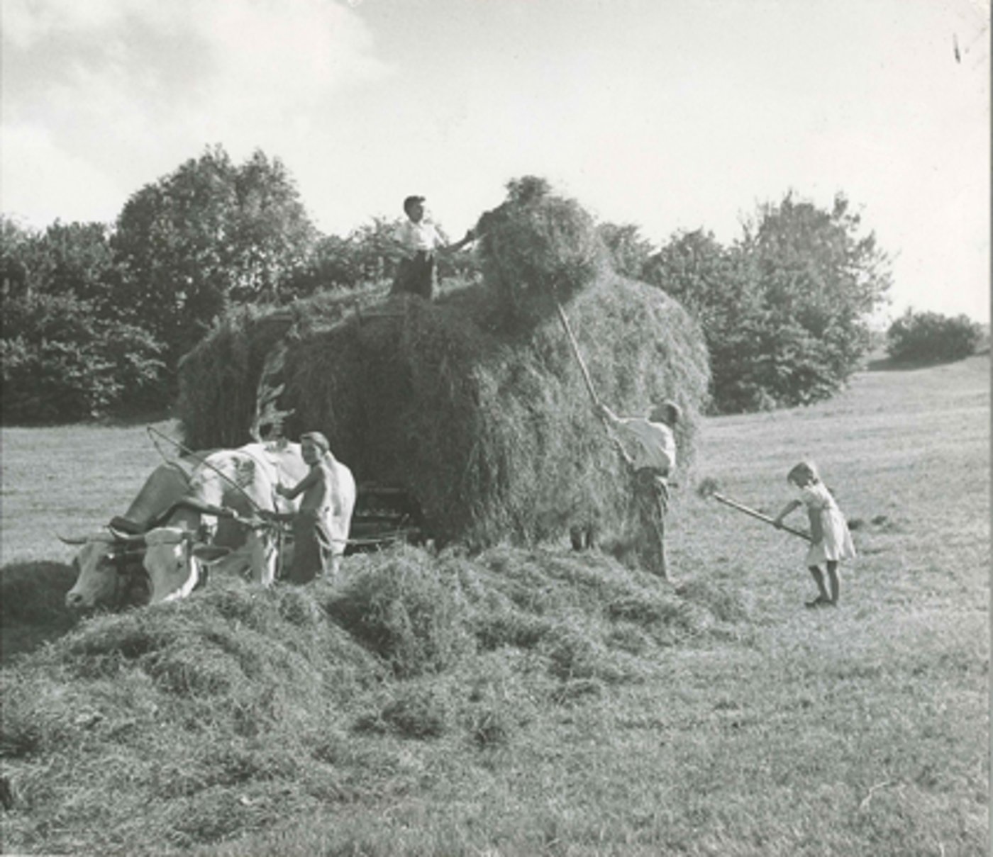 Ziel der Gründung des SBV war es, die Landwirtschaft mit einer starken nationalen Organisation und einem einheitlichen Auftreten aus der Krise zu führen. (Bild SBV)