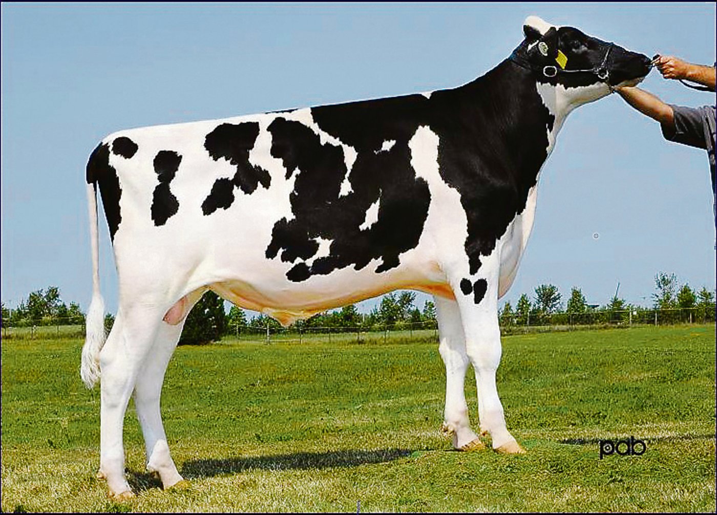  Val-Bisson Doorman(Val-Bisson Shottle Imelda)