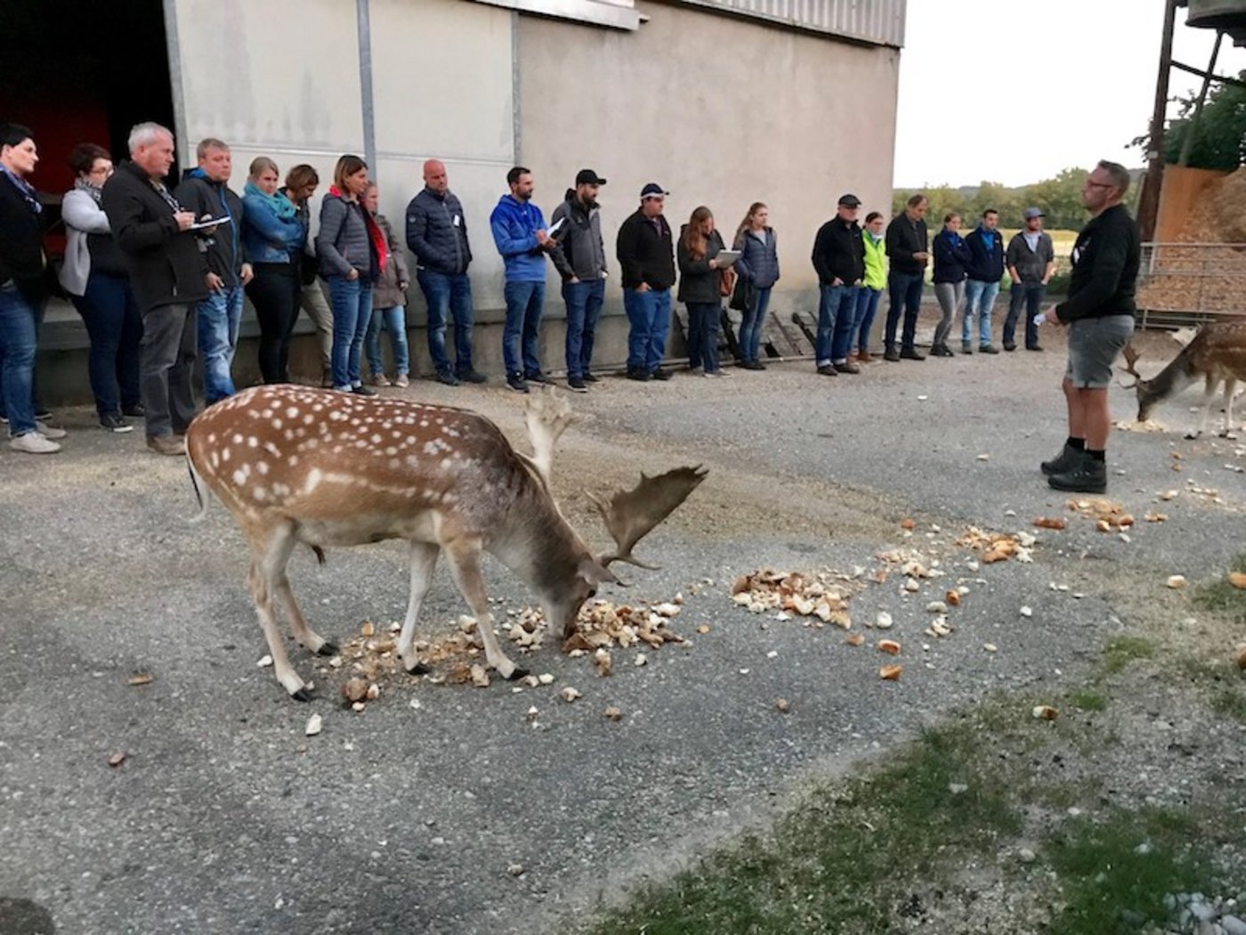 Betriebsrundgang im Martin Schurter im Damhirschen-Gehege. (Bilder zVg)