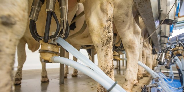 Was bei einer B-Milch-Freiwilligkeit aus der Segmentierung werden würde, scheint nicht ganz klar zu sein. (Bild Pixabay)