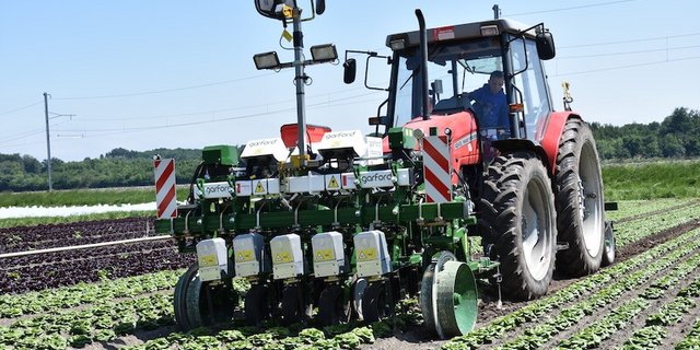 Der Jätroboter erkennt die Salate dank einer Kamera und Videobildanalyse. Die Fahrgeschwindigkeit darf nicht zu hoch sein, sonst wird zuviel Erde in die Salate geschleudert und die Kamera kommt nicht mehr mit. (Bilder Jasmine Baumann)