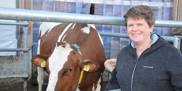 In den jährlichen Familienferien auf einem freiburgischen Bauernhof lernte Rebecca Müller die Landwirtschaft kennen.  „Ich war den ganzen Tag beim Bauer und durfte mithelfen beim Kühe anrüsten.“ (Bild und Video ms)