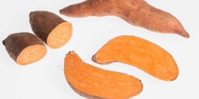 Süsskartoffeln stammen ursprünglich aus Zentralamerika. Heute werden sie in über 100 Ländern angebaut. (Bild Agroscope)