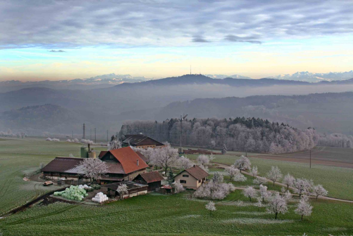 Die BEKO unterstützt die Vision des Bundesrates, kritisiert aber die Kommunikation, da sie zu wenig auf die Themen der Agrarpolitik 2022+ eingegangen sei. (Bild Dominique Andereggen/landwirtschaft.ch)