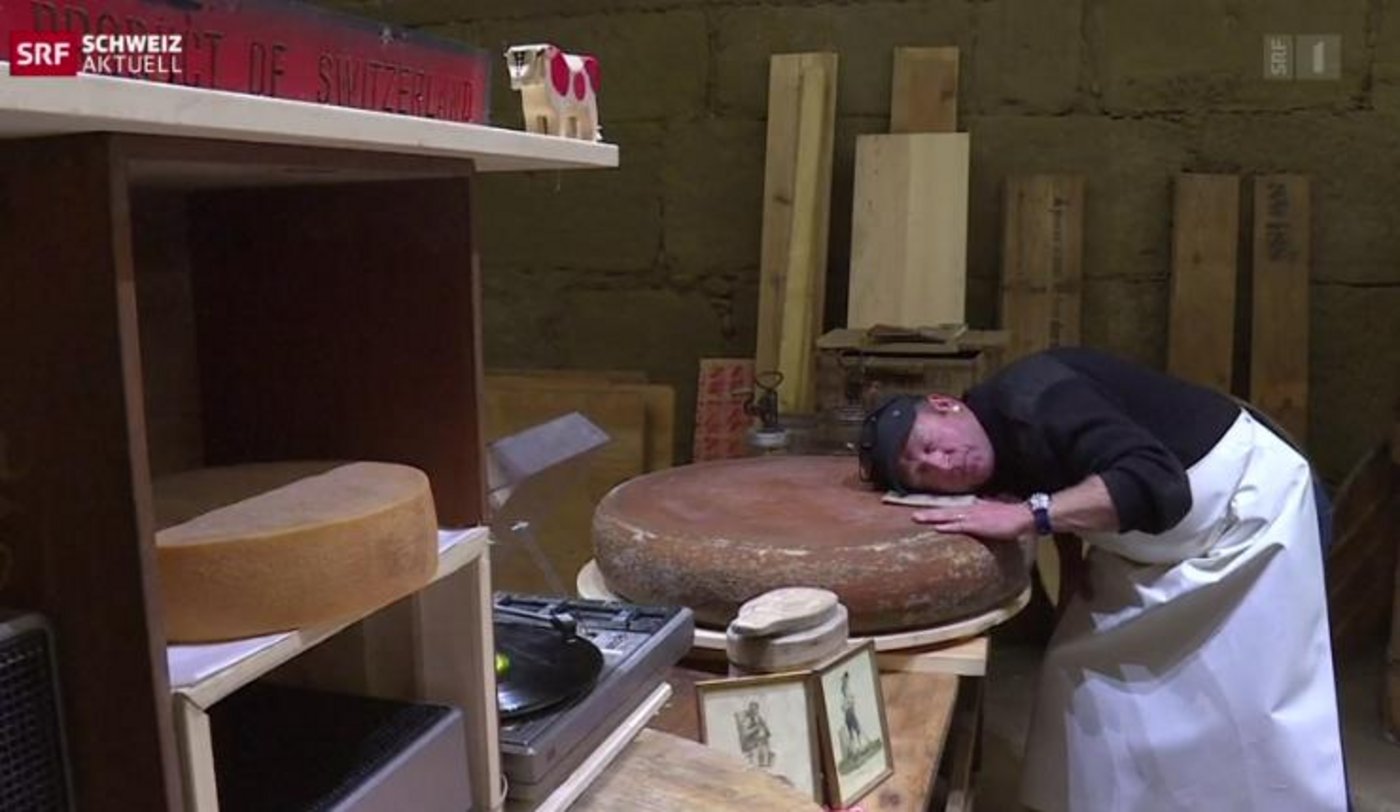 Wie schmeckt der Käse, wenn er mit Rock beschallt wird? (Bild Screenshot SRF)