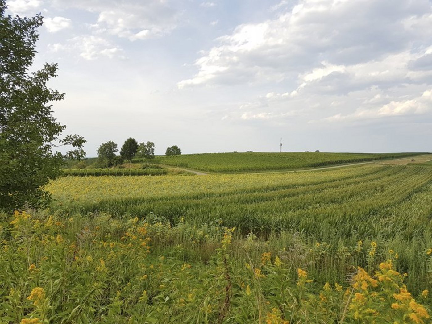 Ländliche Gebiete seien die Kraftzentren Deutschlands, so Agrarministerin Klöckner. (ji)