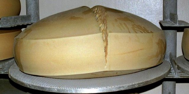 Fehlgärungen durch zu hohe Sporenbelastungen können zu Fehlgärungen führen. (Bild ZMP)