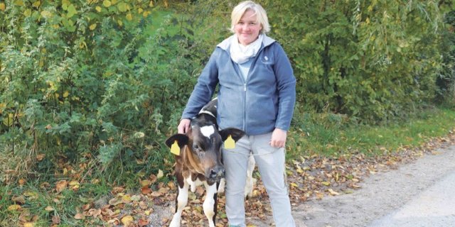 «Meine schönste Arbeit ist die mit den Mastkälbern», sagt Käthi Graf-Frey. «Ich mag diese Tiere.» Offensichtlich gilt das auch umgekehrt. (Bild Benildis Bentolila)