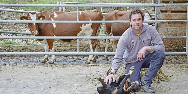 Benjamin Gasser setzt auf seinem Betrieb auf die Milchproduktion. Die 60 Kühe werden mit einem Roboter gemolken.(Bilder Marianne Stamm)