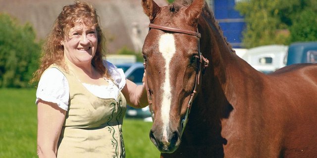 In Hélixirs Adern fliesst weniger als 1 % Fremdblut. Er ist der grosse Stolz seiner Besitzerin Therese Franchi, die sich der Freibergerzucht verschrieben hat.