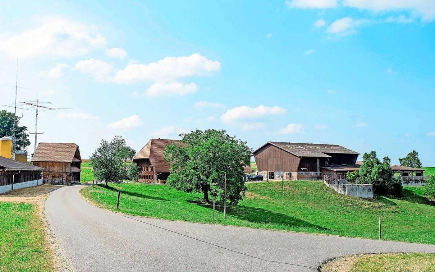 Der Hof Vogelsang, links hinter dem Schweinestall ist der Spycher, in dem als Selbstbedienungsladen die Töpfereien ausstellt und angeboten werden. 