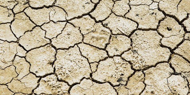 Jede Dürre zerstört Existenzgrundlagen. (Symbolbild Pixabay)