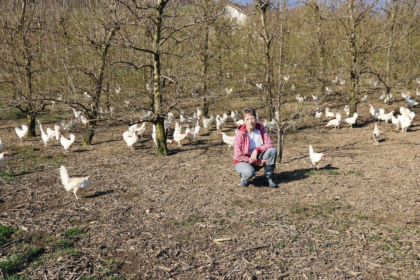 Sonja Degen im Aussenbereich des Legehennenstalls. In jeglicher Hinsicht wird dem Tierwohl grösste Beachtung geschenkt.(Bild BB)