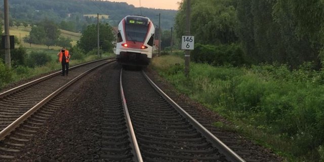 Zwischen Singen und Engen kollidierte ein Regionalzug mit einer Schafsherde. (Bild Polizeipräsidium Konstanz)