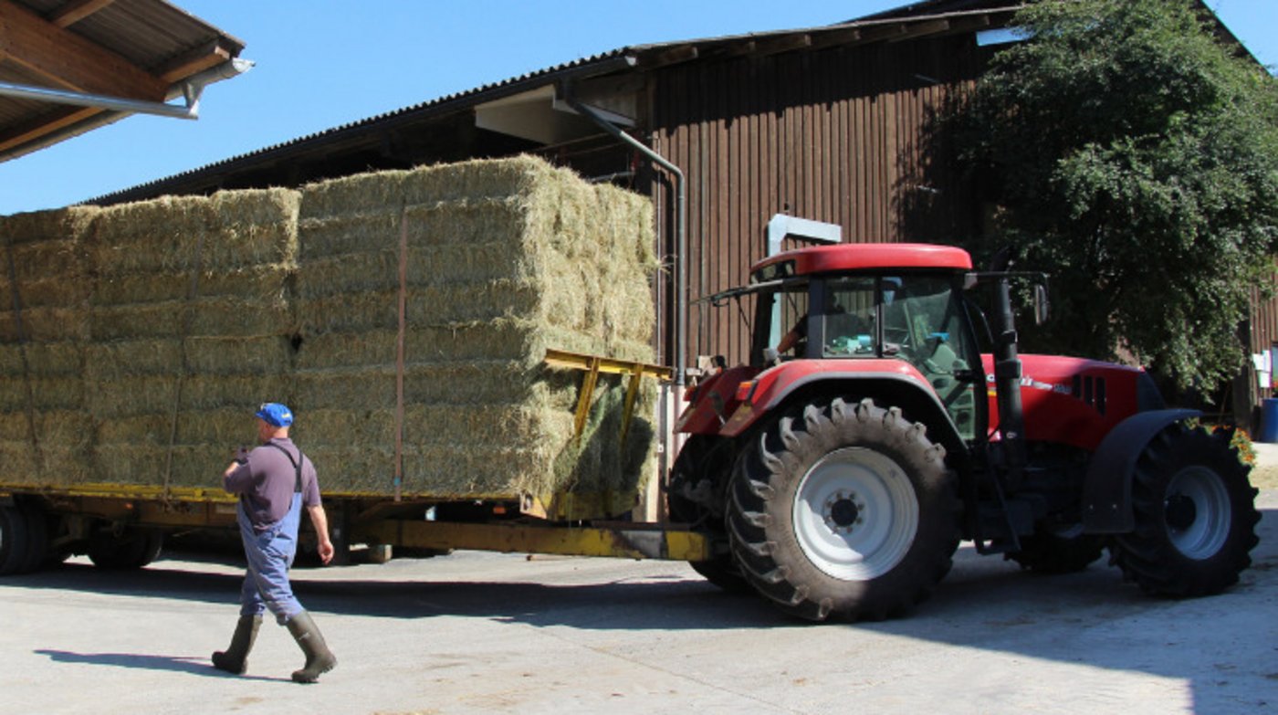 Kommt es wegen ungenügender Ladungssicherung zu einem Unfall, haftet der Fahrer. (Bild Hans Rüssli)