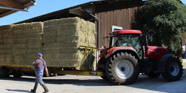 Kommt es wegen ungenügender Ladungssicherung zu einem Unfall, haftet der Fahrer. (Bild Hans Rüssli)