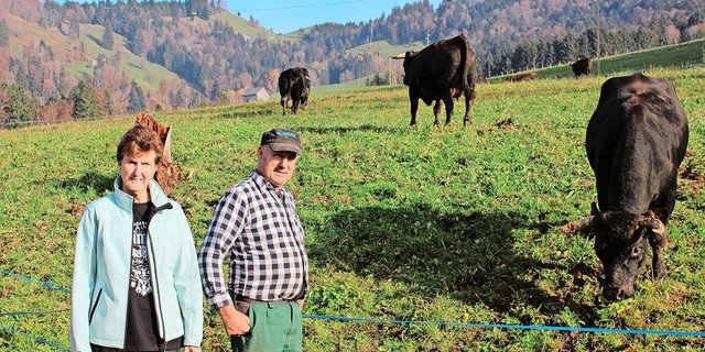 Ursi und Ueli Hüppi aus Rüeterswil und ihre Eringer-Kühe. 2007 fingen sie an, ihre Herde aufzubauen, mittlerweile halten sie 35 Tiere von dieser Rasse. 
