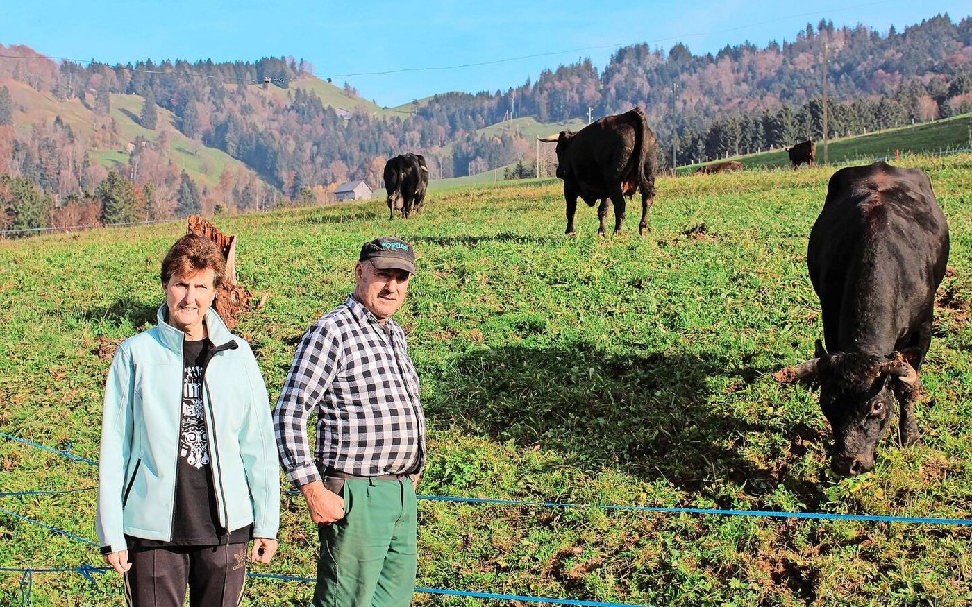 Ursi und Ueli Hüppi aus Rüeterswil und ihre Eringer-Kühe. 2007 fingen sie an, ihre Herde aufzubauen, mittlerweile halten sie 35 Tiere von dieser Rasse. 