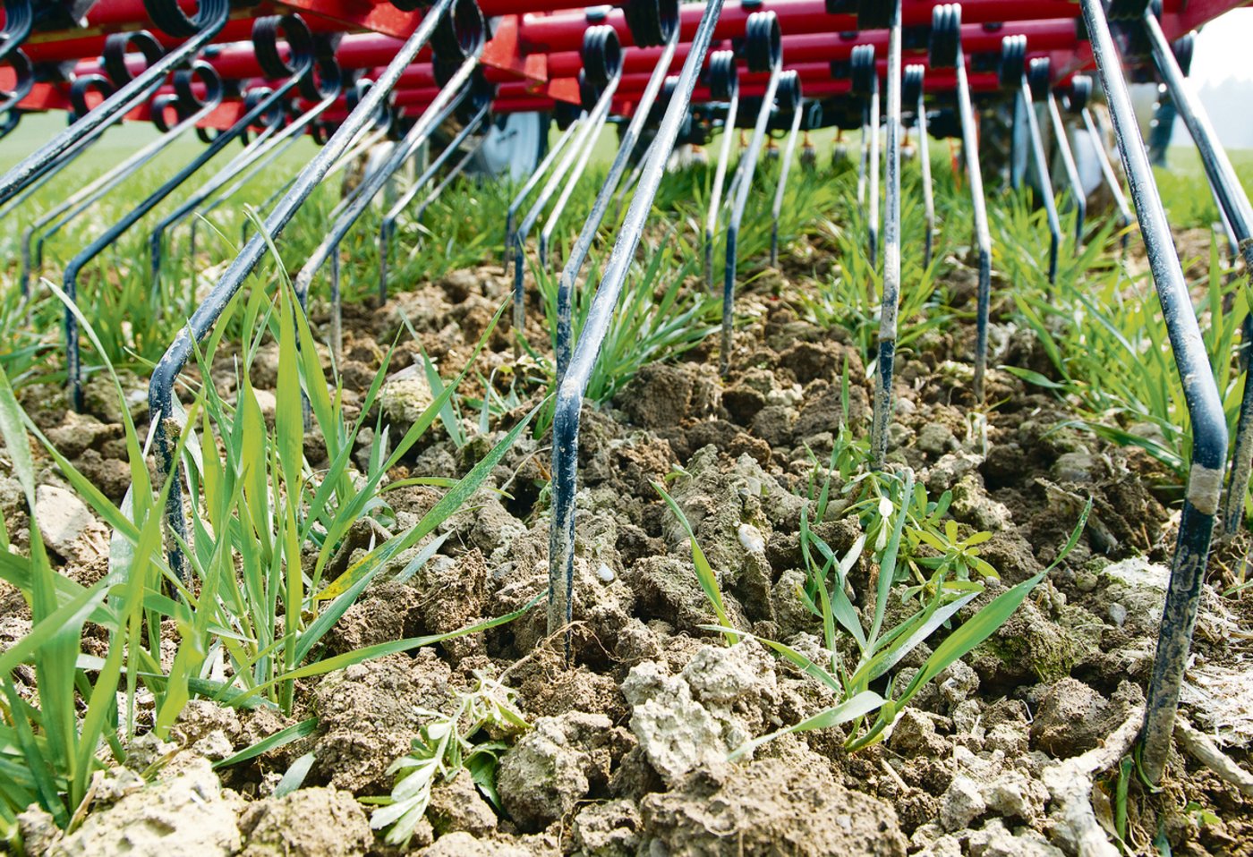 Die Landwirtschaft ist stetem Wandel unterlegen. So ist mechanische Unkrautbekämpfung je länger je mehr gefragt. Die Maschinengenossenschaft Walperswil trägt dem Rechnung und passt ihr Angebot den Bedürfnissen an. (Symbolbild Archiv BauZ)