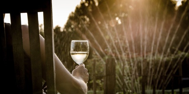 Ein Gläschen Wein musste man sich 2020 mehrheitlich zuhause statt in einem Restaurant gönnen. Gerade die Absage von Degustationen und Besuchen in Weinkellern machen die Vermarktung der guten Tropfen im Corona-Jahr schwierig. (Bild Skitterphoto / Pixabay)