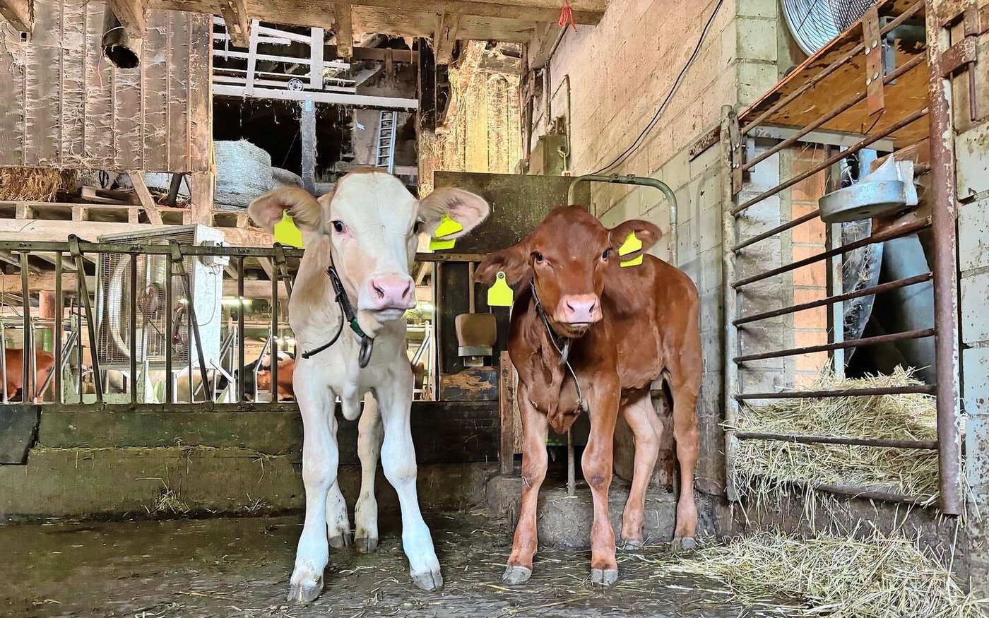 Aktuell lassen sich die Tränker noch platzieren, das dürfte sich aber schon bald ändern.    