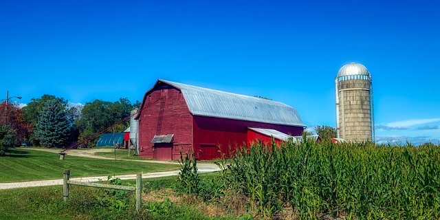 Beispielsweise der Import von gentechnisch verändertem Mais aus den USA verstosse gegen den Grundsatz der Verfassung, dass Freihandelsabkommen zur nachhaltigen Entwicklung beitragen müssten. (Bild Pixabay)