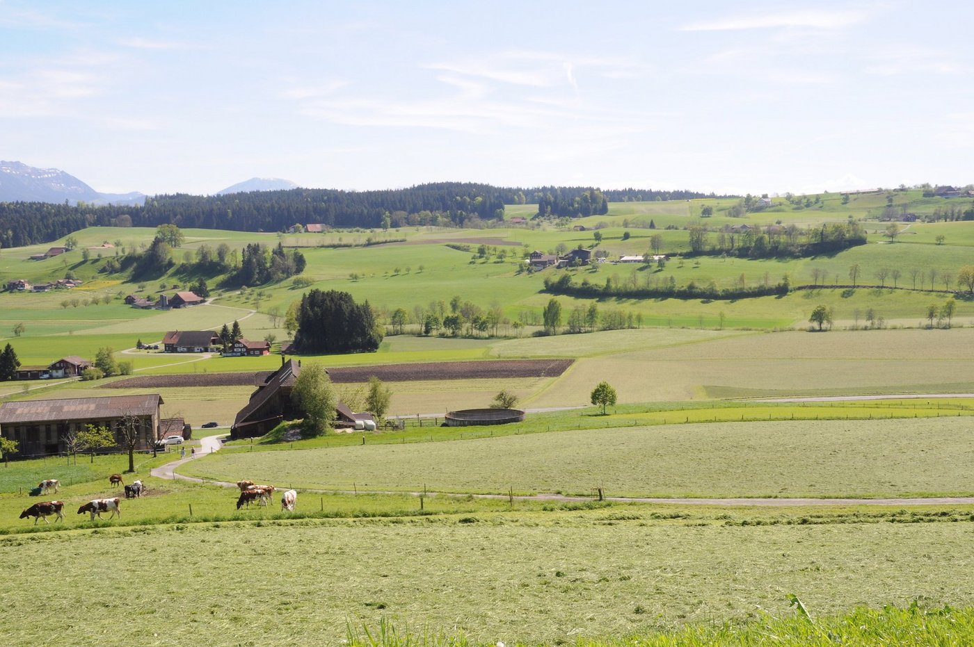 Die Luzerner Landwirtschaft soll vermehrt auf Regionalität setzen, im Bild das Rottal. (Symbolbild ag)