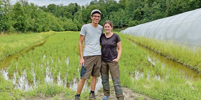 Lukas und Natalie Neuhaus vor ihrem Reisfeld. Sie feiern dieses Jahr ihre Nassreis-Premiere. Ein erster Versuch mit Trockenreis funktionierte nicht. (Bilder jw)