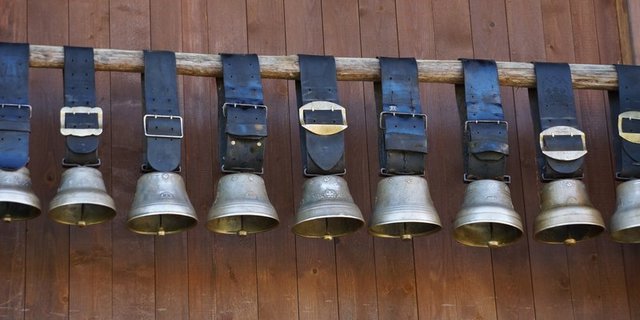 Kuhglocken helfen dabei, die Tiere zu finden und sind ein Symbol für Schweizer Traditionen. Ihr Klang ist aber offenbar nicht bei allen und zu jeder Tages- oder Nachtzeit gern gehört. (Bild BauZ)