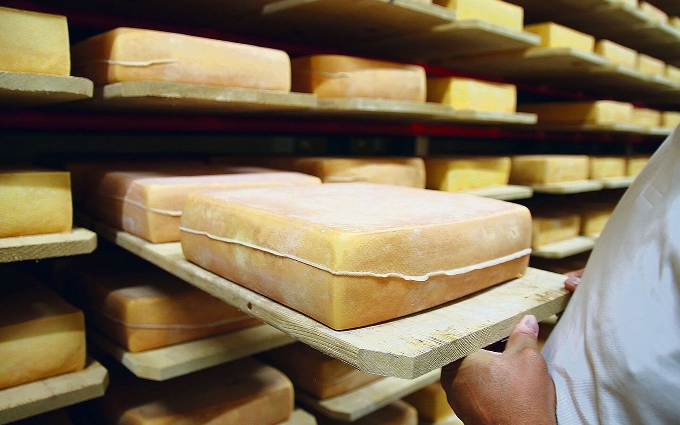 Hier reift Raclettekäse in der von Agroscope entwickelten Textilhülle. «Das hat Zukunft», sagt Roland Rüegg. 